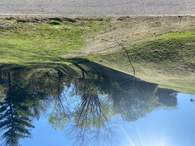 a view of a yard with an trees