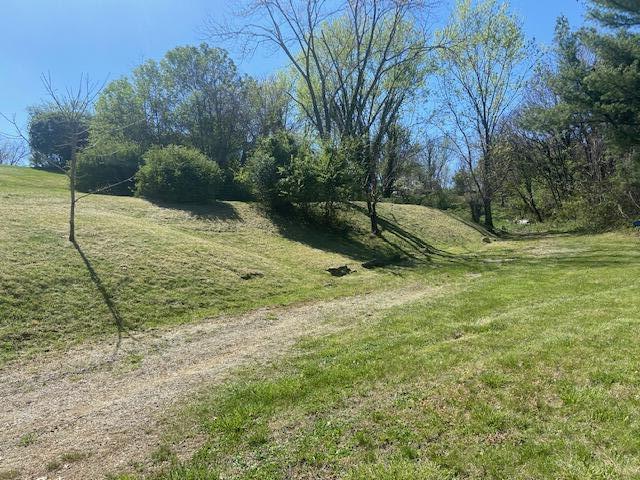 953 North Mill Road Salem, VA 24153 - Photo 2 of 4 a view of a yard with a tree