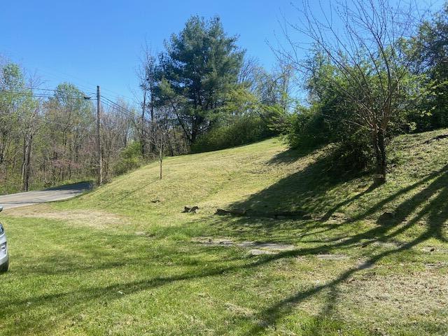 953 North Mill Road Salem, VA 24153 - Photo 3 of 4 a view of a yard with a tree