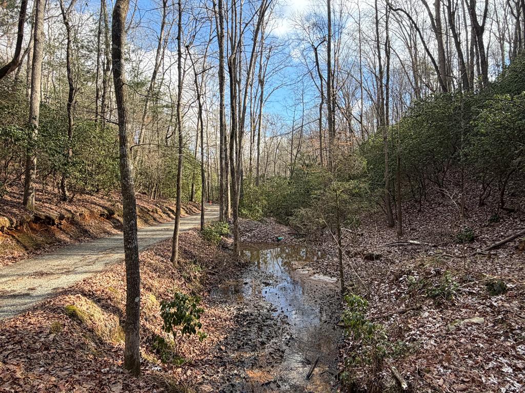 636 Bear Paw Trail Blue Ridge, GA 30513 - Photo 12 of 79