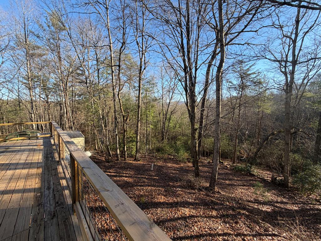 636 Bear Paw Trail Blue Ridge, GA 30513 - Photo 2 of 79