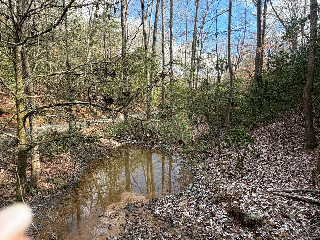 636 Bear Paw Trail Blue Ridge, GA 30513 - Photo 22 of 79