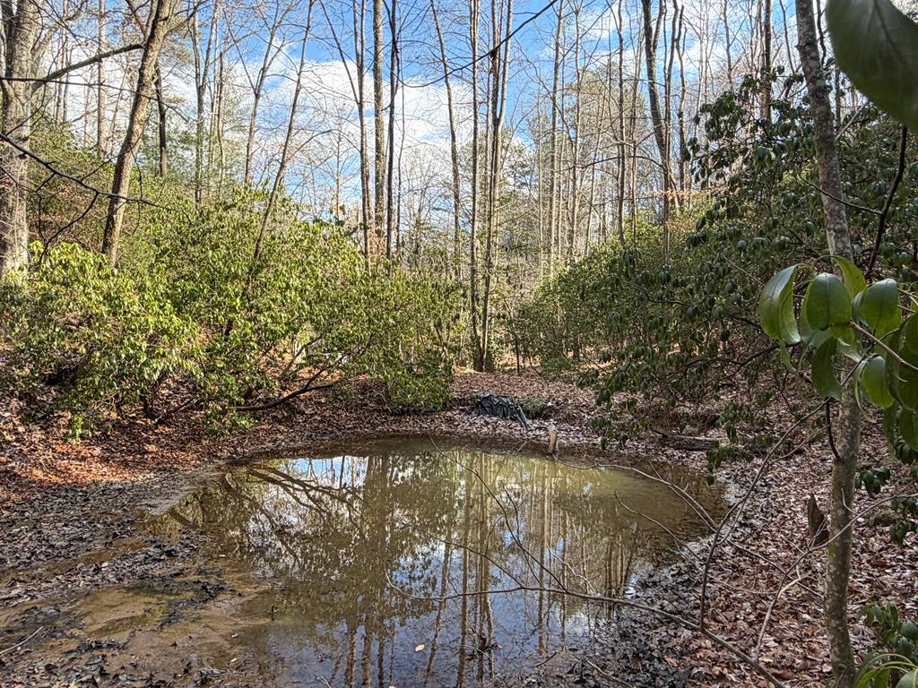 636 Bear Paw Trail Blue Ridge, GA 30513 - Photo 26 of 79