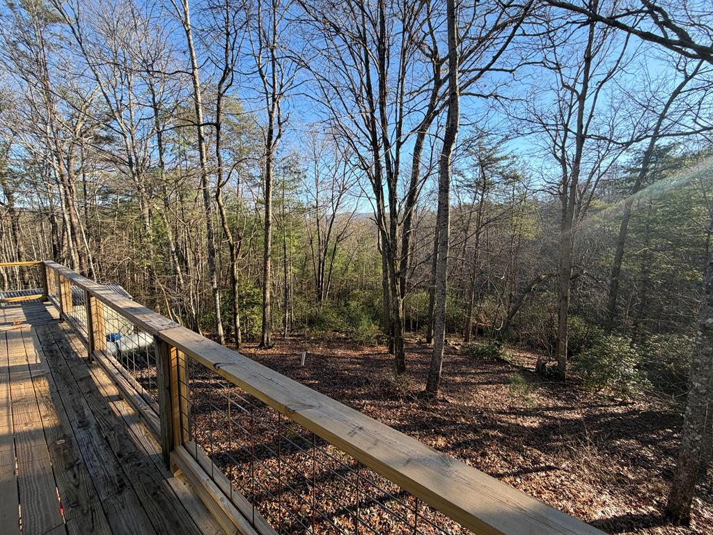 636 Bear Paw Trail Blue Ridge, GA 30513 - Photo 33 of 79