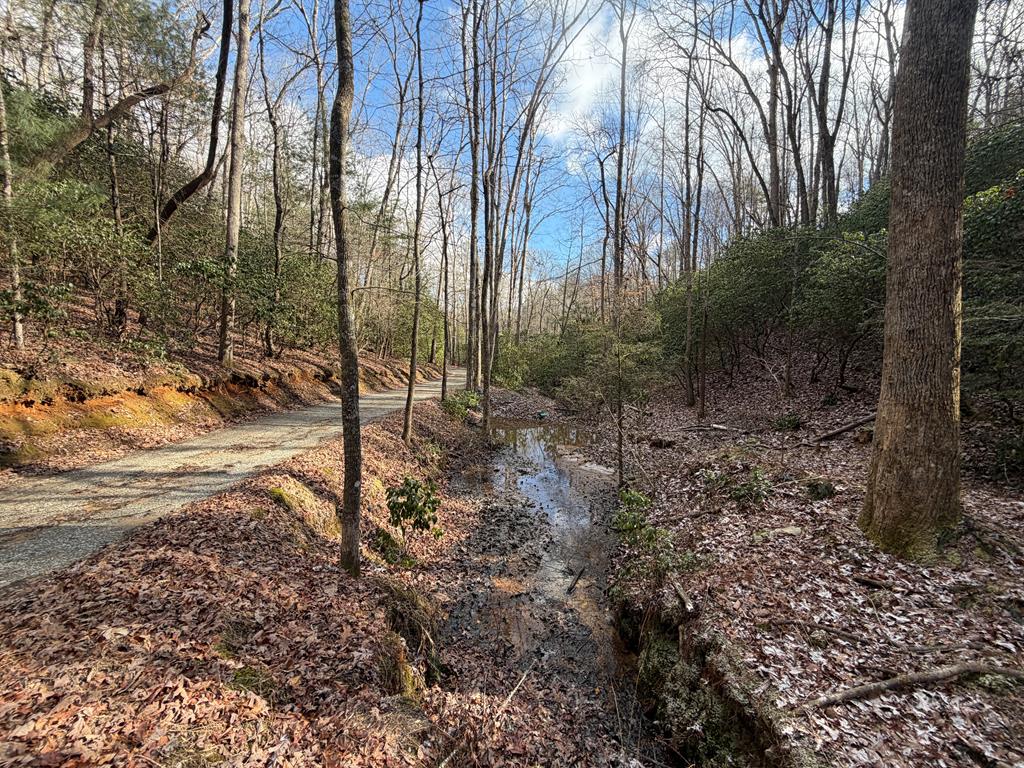 636 Bear Paw Trail Blue Ridge, GA 30513 - Photo 36 of 79