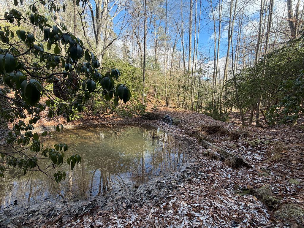 636 Bear Paw Trail Blue Ridge, GA 30513 - Photo 38 of 79