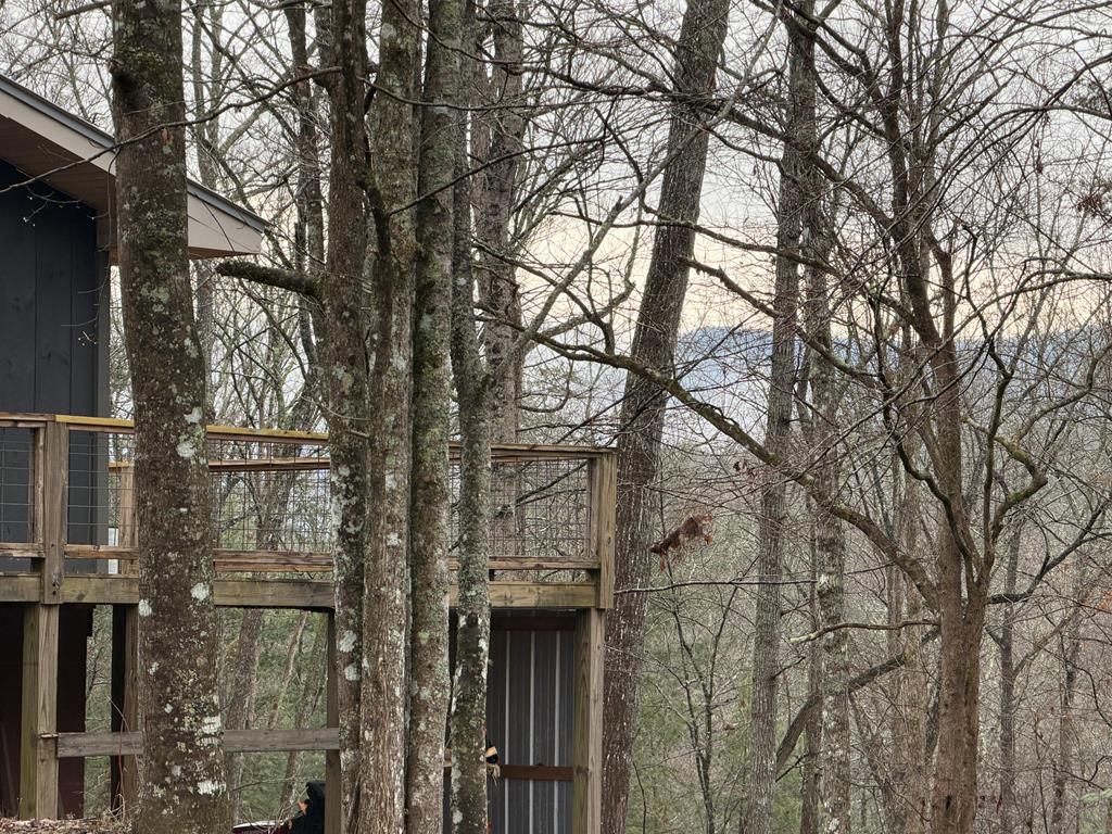 636 Bear Paw Trail Blue Ridge, GA 30513 - Photo 42 of 79