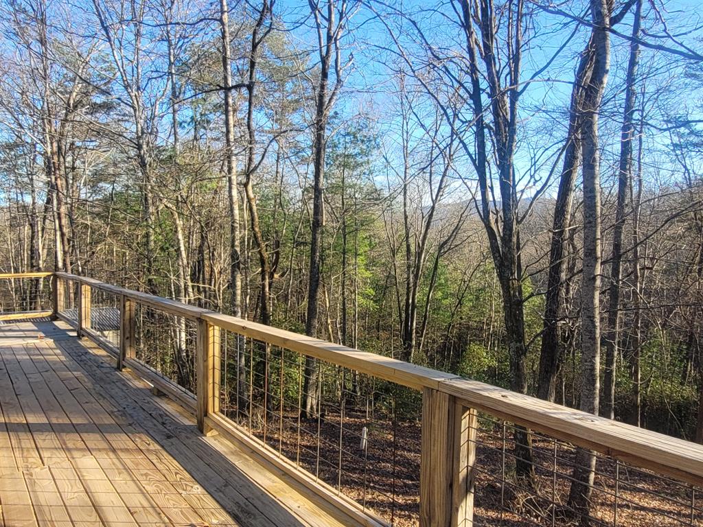 636 Bear Paw Trail Blue Ridge, GA 30513 - Photo 48 of 79