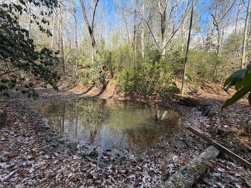 636 Bear Paw Trail Blue Ridge, GA 30513 - Photo 49 of 79