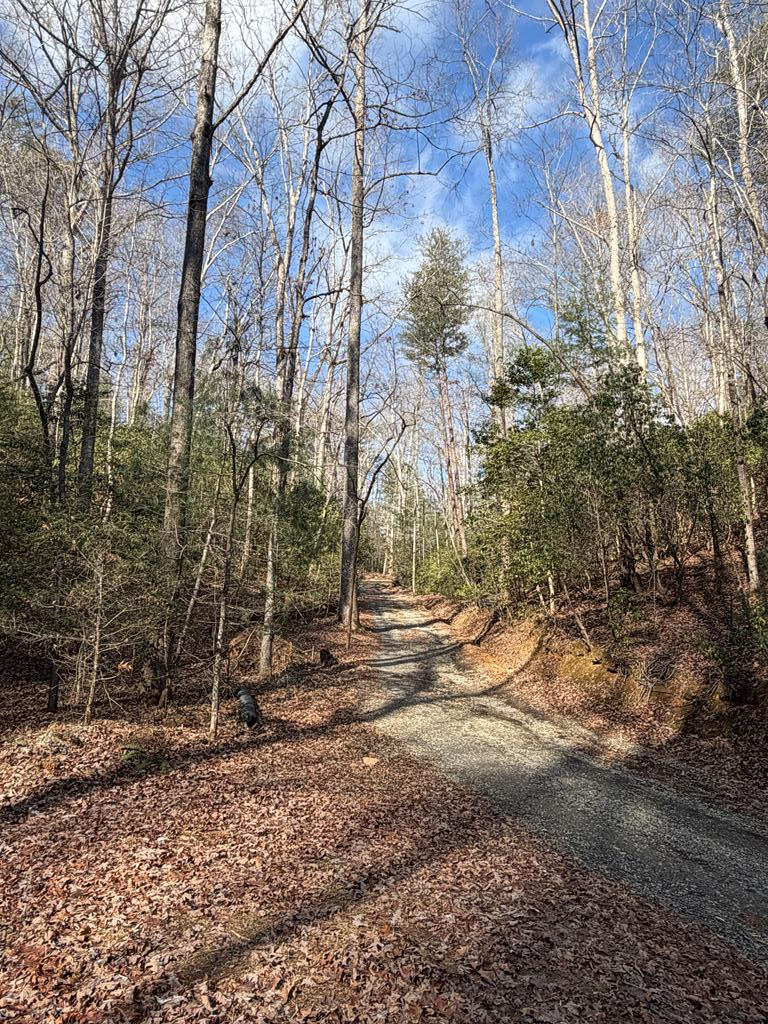 636 Bear Paw Trail Blue Ridge, GA 30513 - Photo 52 of 79