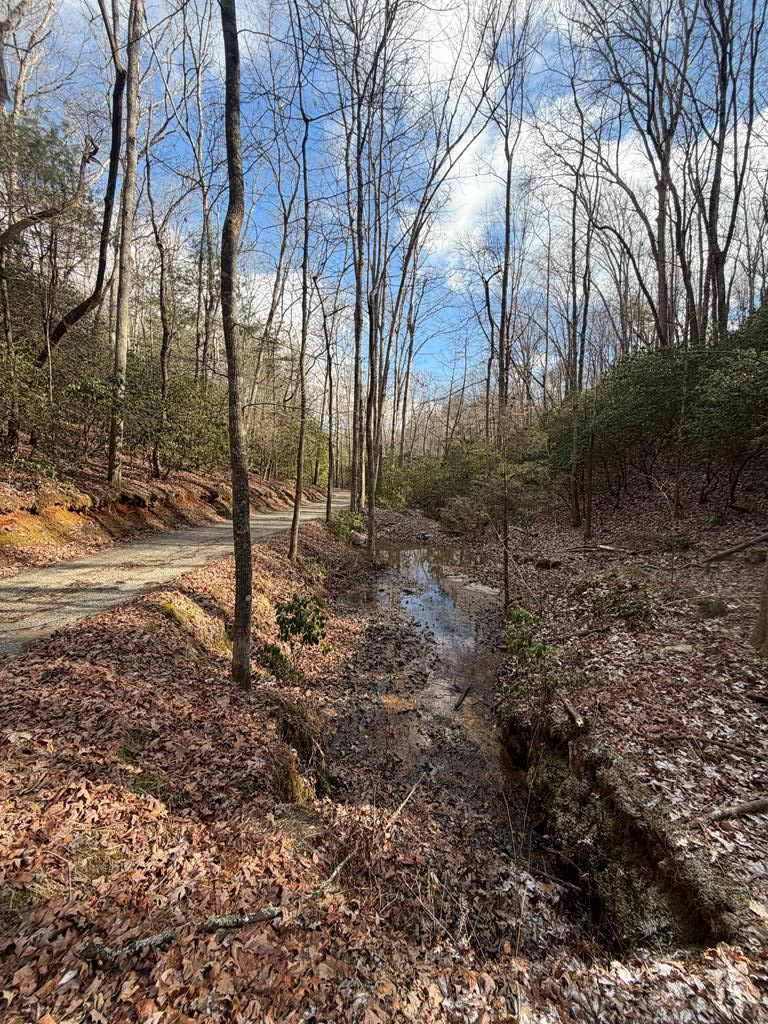 636 Bear Paw Trail Blue Ridge, GA 30513 - Photo 59 of 79