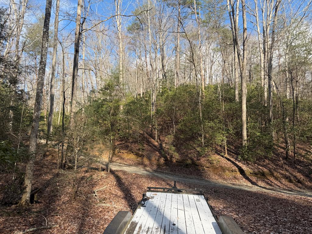 636 Bear Paw Trail Blue Ridge, GA 30513 - Photo 61 of 79