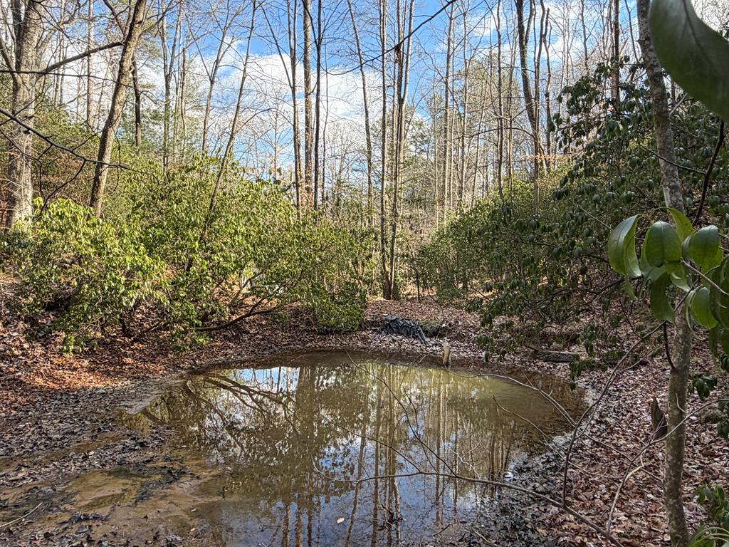 636 Bear Paw Trail Blue Ridge, GA 30513 - Photo 62 of 79