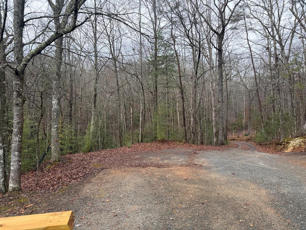 636 Bear Paw Trail Blue Ridge, GA 30513 - Photo 64 of 79