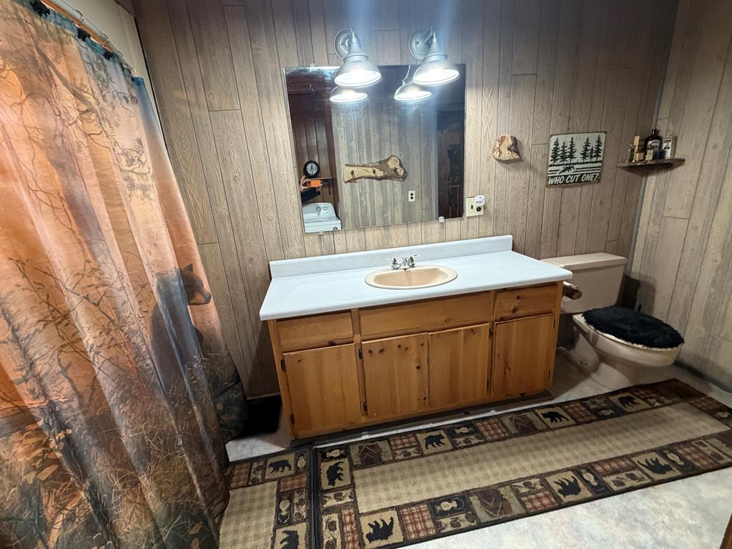 636 Bear Paw Trail Blue Ridge, GA 30513 - Photo 65 of 79