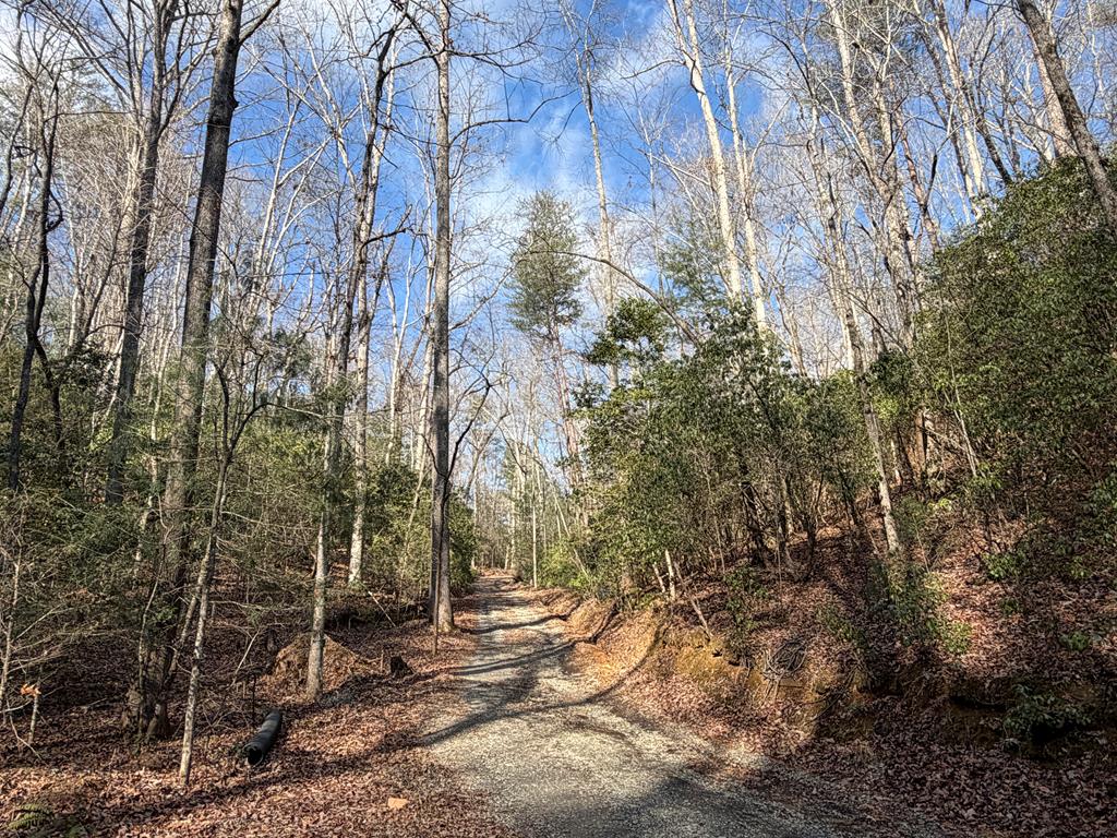 636 Bear Paw Trail Blue Ridge, GA 30513 - Photo 69 of 79