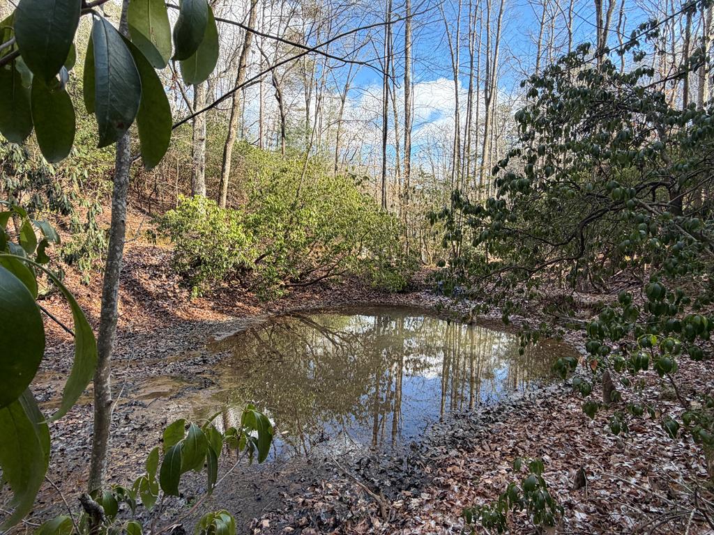 636 Bear Paw Trail Blue Ridge, GA 30513 - Photo 7 of 79