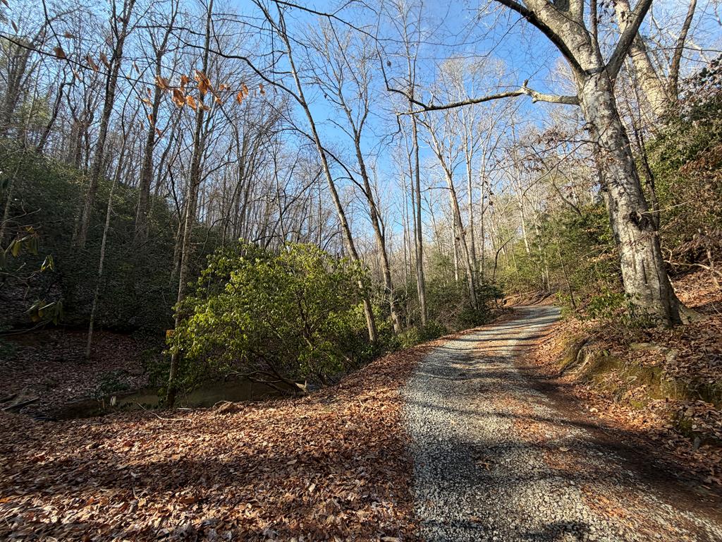 636 Bear Paw Trail Blue Ridge, GA 30513 - Photo 75 of 79