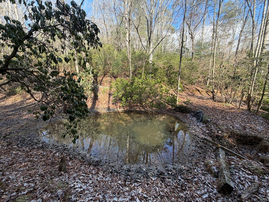 636 Bear Paw Trail Blue Ridge, GA 30513 - Photo 79 of 79