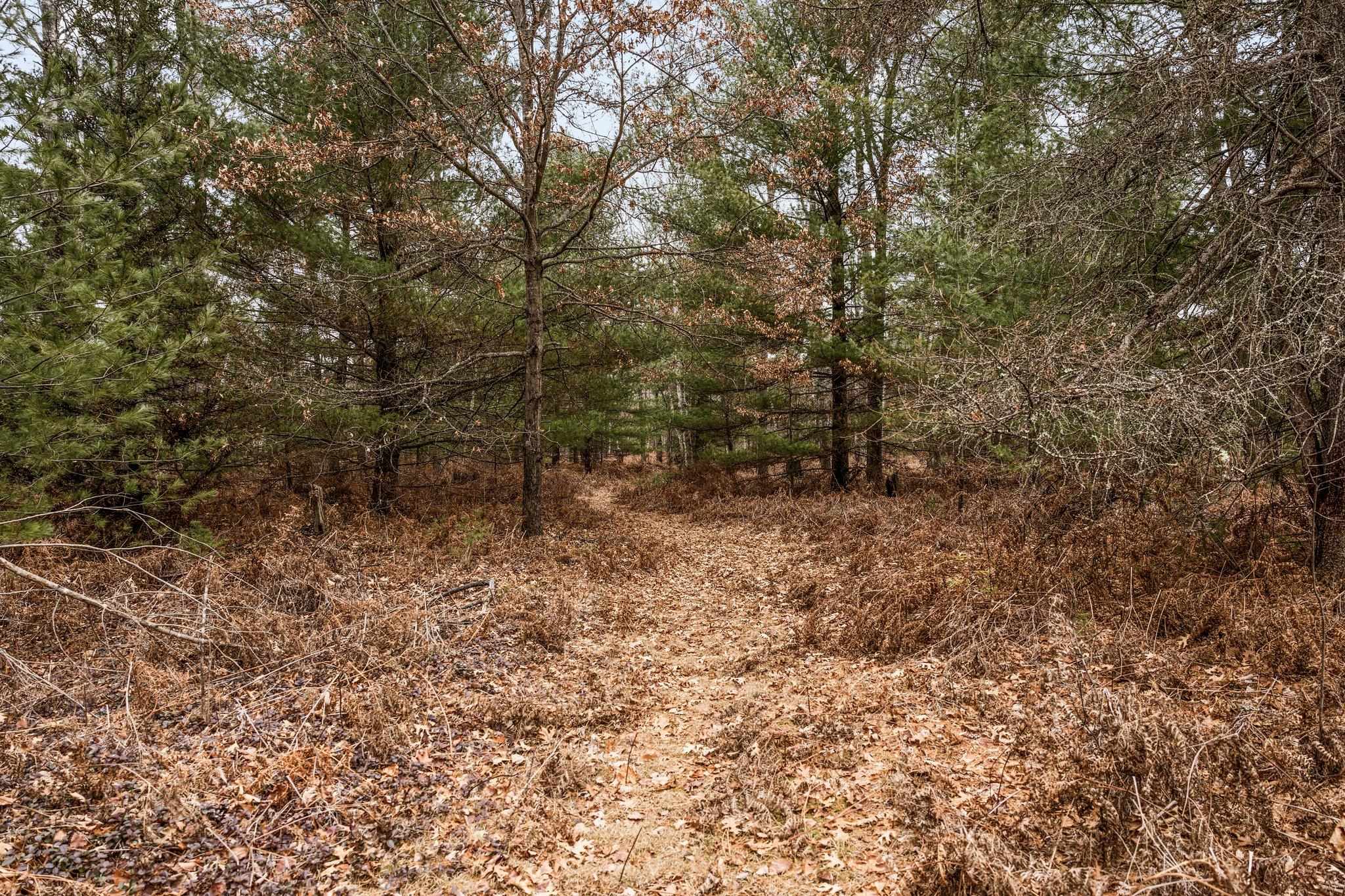 4615 East Sugar River Road Alger, MI 48610 - Photo 40 of 69
