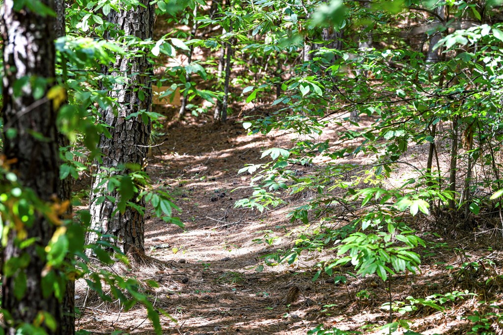 271 Postelle Road Copperhill, TN 37317 - Photo 41 of 59