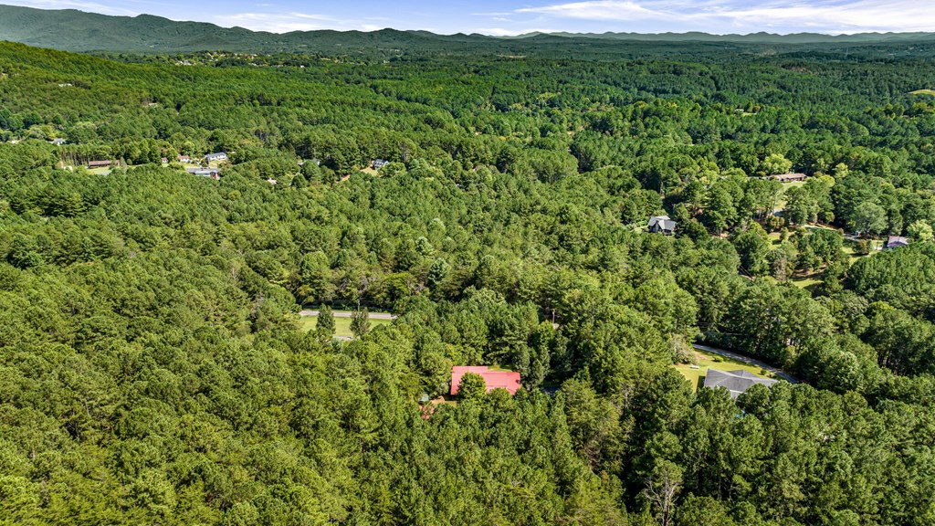 271 Postelle Road Copperhill, TN 37317 - Photo 48 of 59 a view of a lush green forest with trees in the background