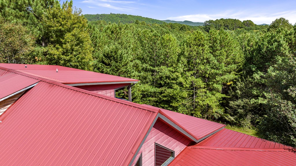 271 Postelle Road Copperhill, TN 37317 - Photo 49 of 59 a view of a yard with an outdoor space