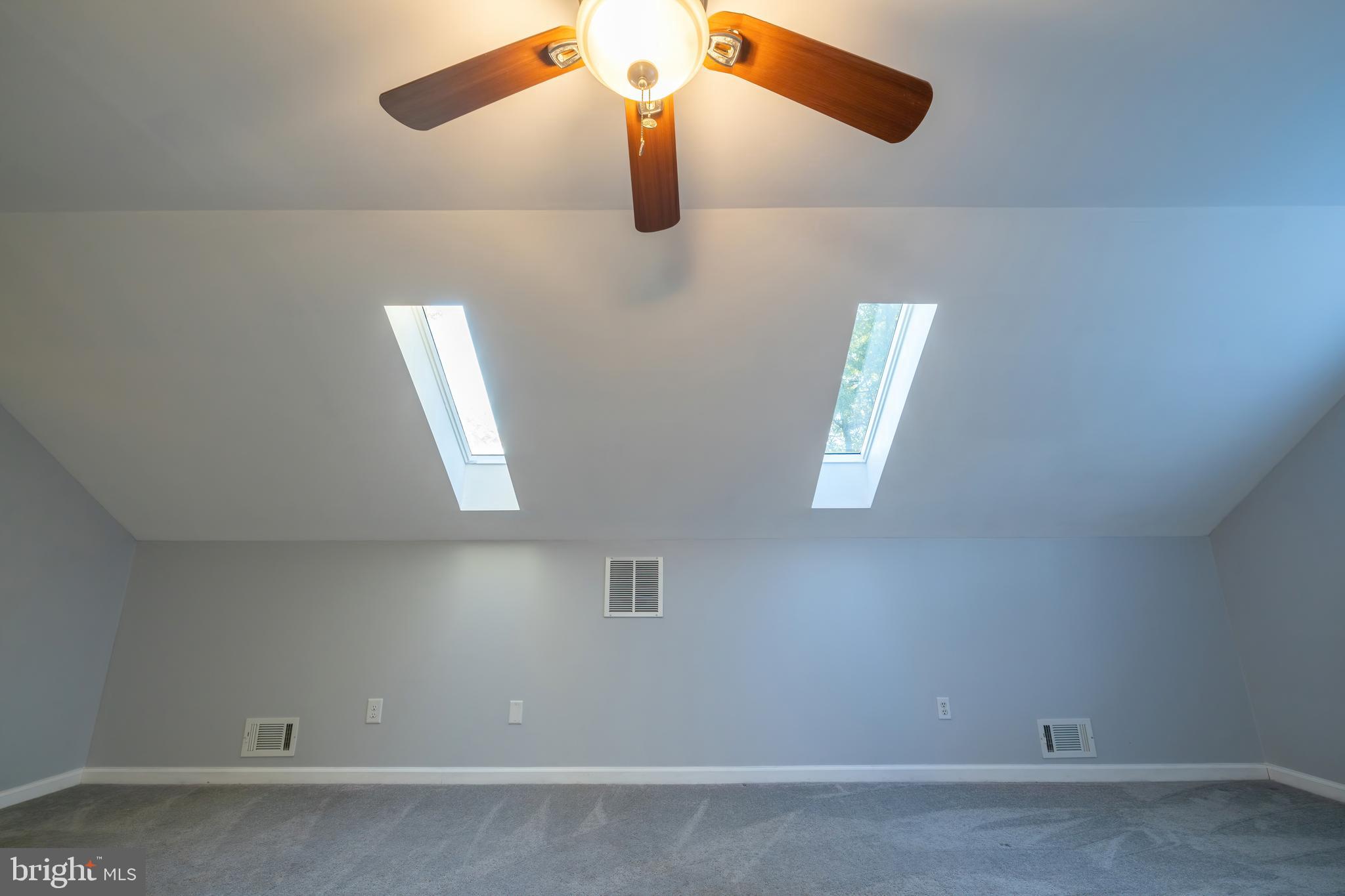 302 Dominion Road Chester, MD 21619 - Photo 23 of 54 Master skylights