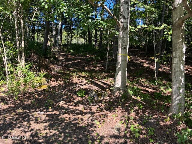 43 Lenox Road West Stockbridge, MA 01266 - Photo 8 of 8 IMG_7831