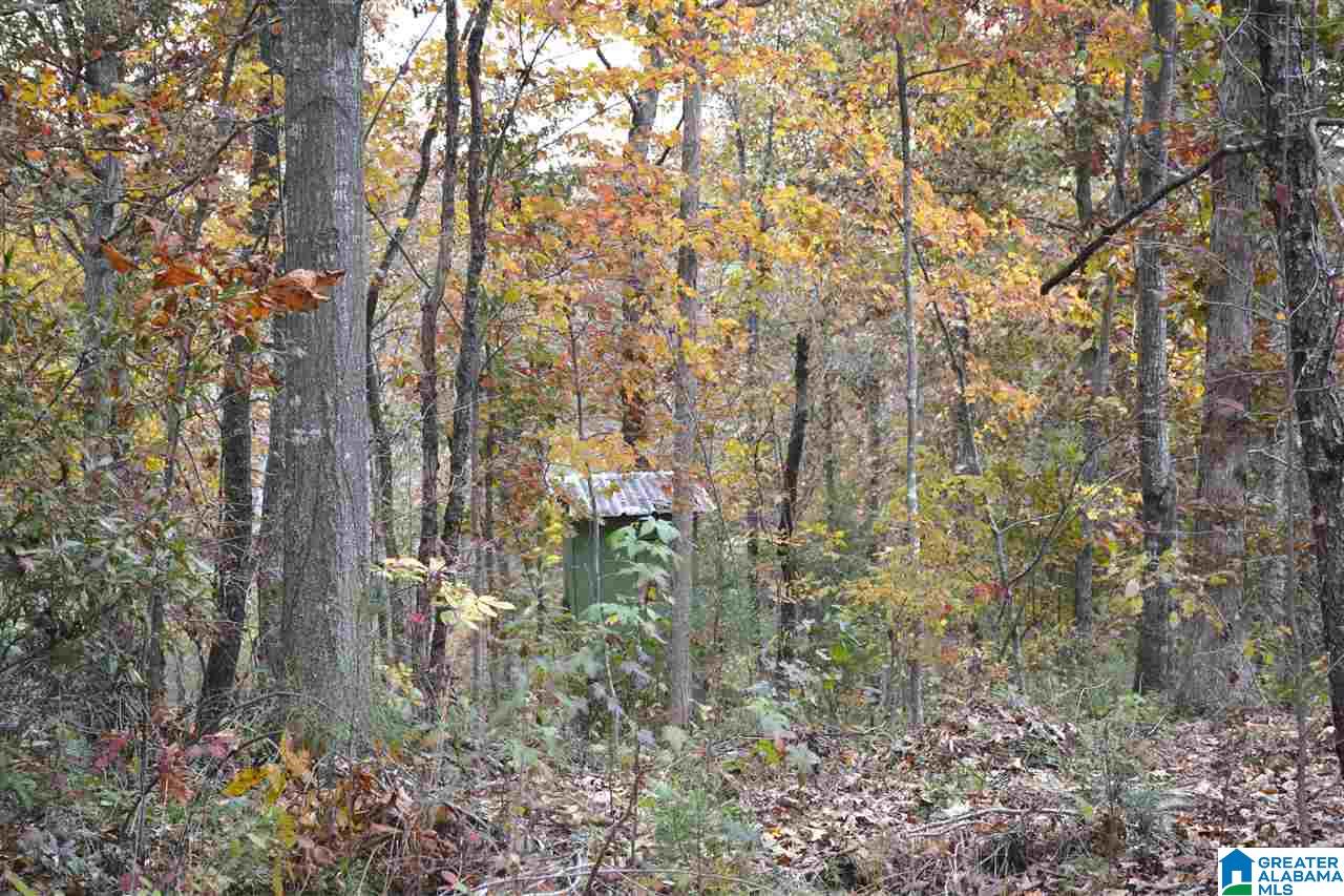 0 Jackson Loop Road, Unit 1 Ragland, AL 35131 - Photo 14 of 27