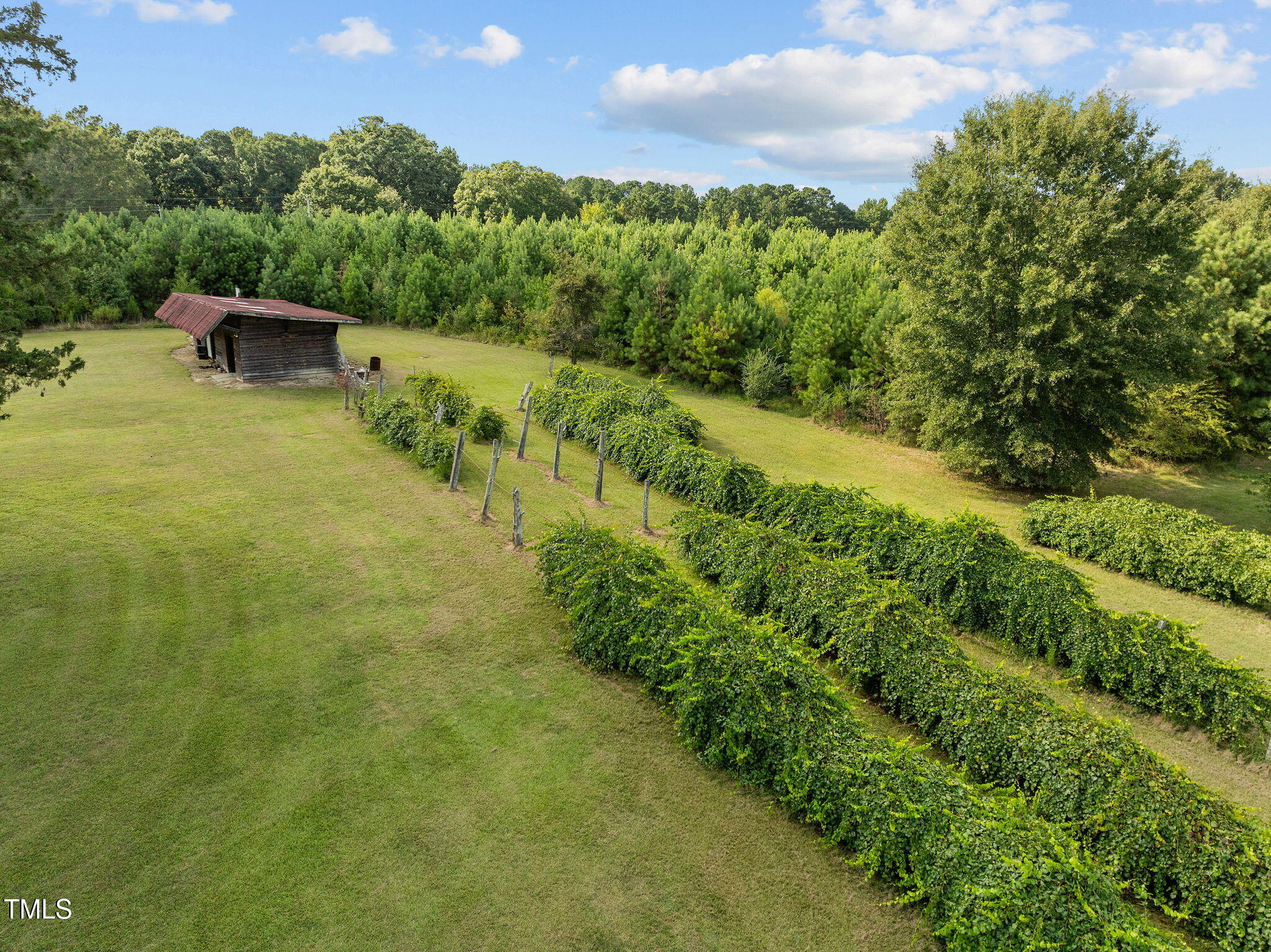 504 Parks Village Road Zebulon, NC 27597 - Photo 38 of 50 a view of a garden with an outdoor seating