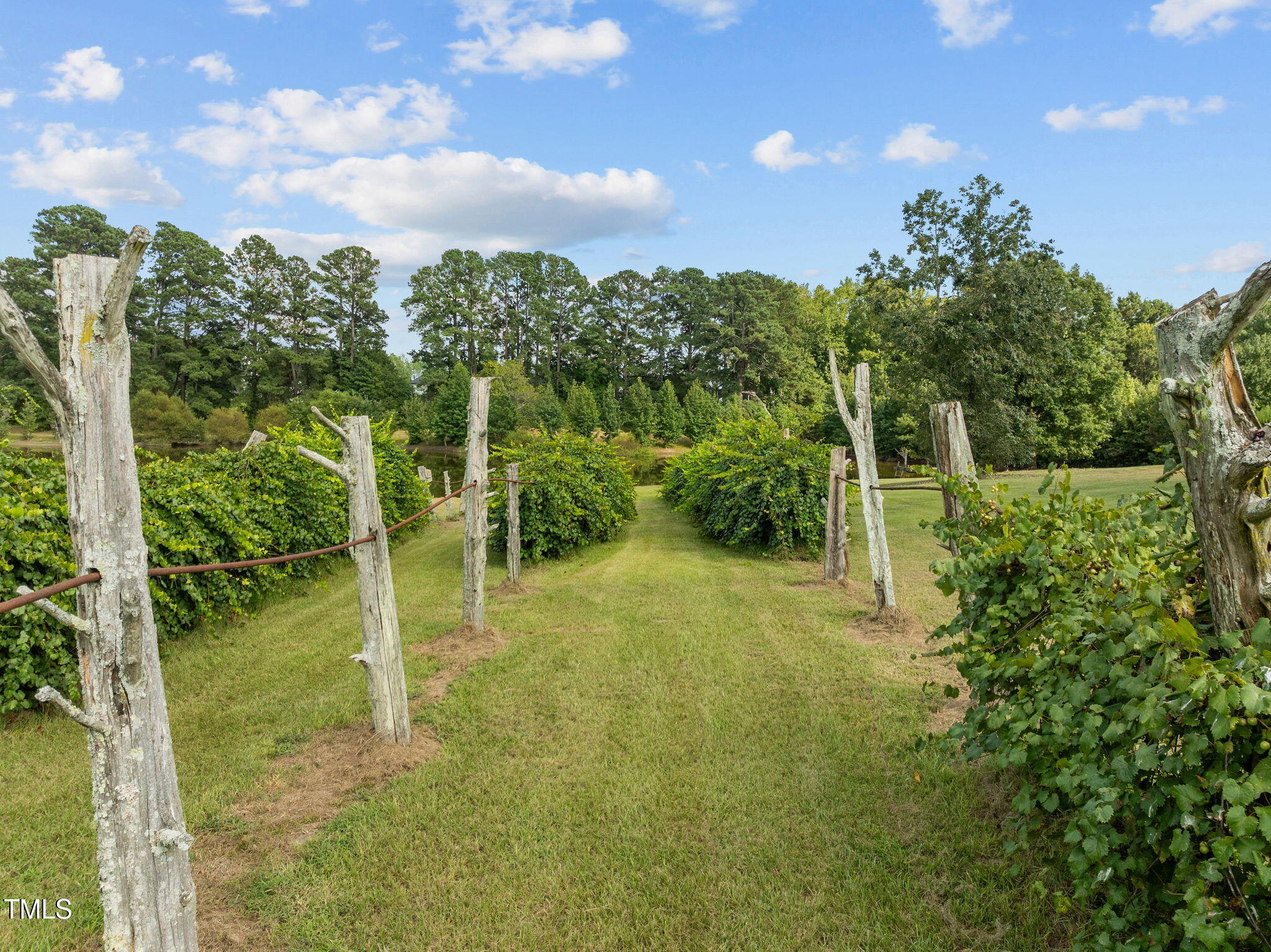 504 Parks Village Road Zebulon, NC 27597 - Photo 39 of 50 66-web-or-mls-DJI_0479