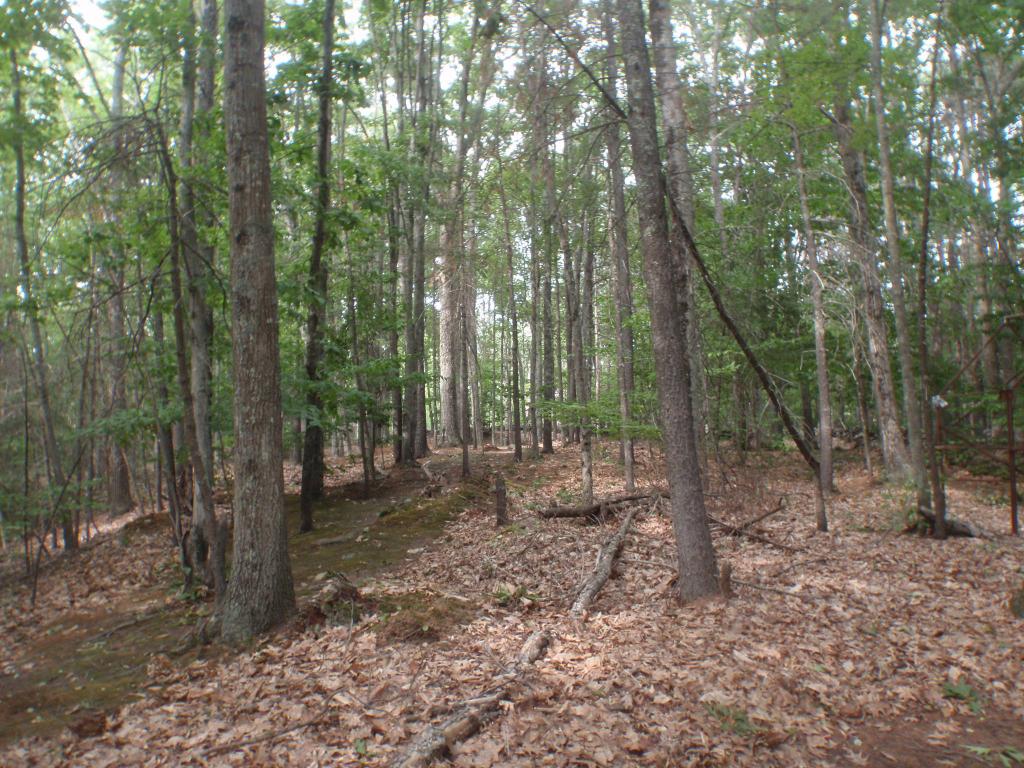 27 Sherburne Hill Road Epsom, NH 03234 - Photo 14 of 15 Gallery Image 14