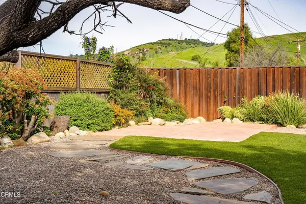 a view of a backyard with plants