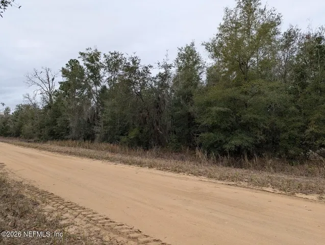 a view of a yard with plants and trees
