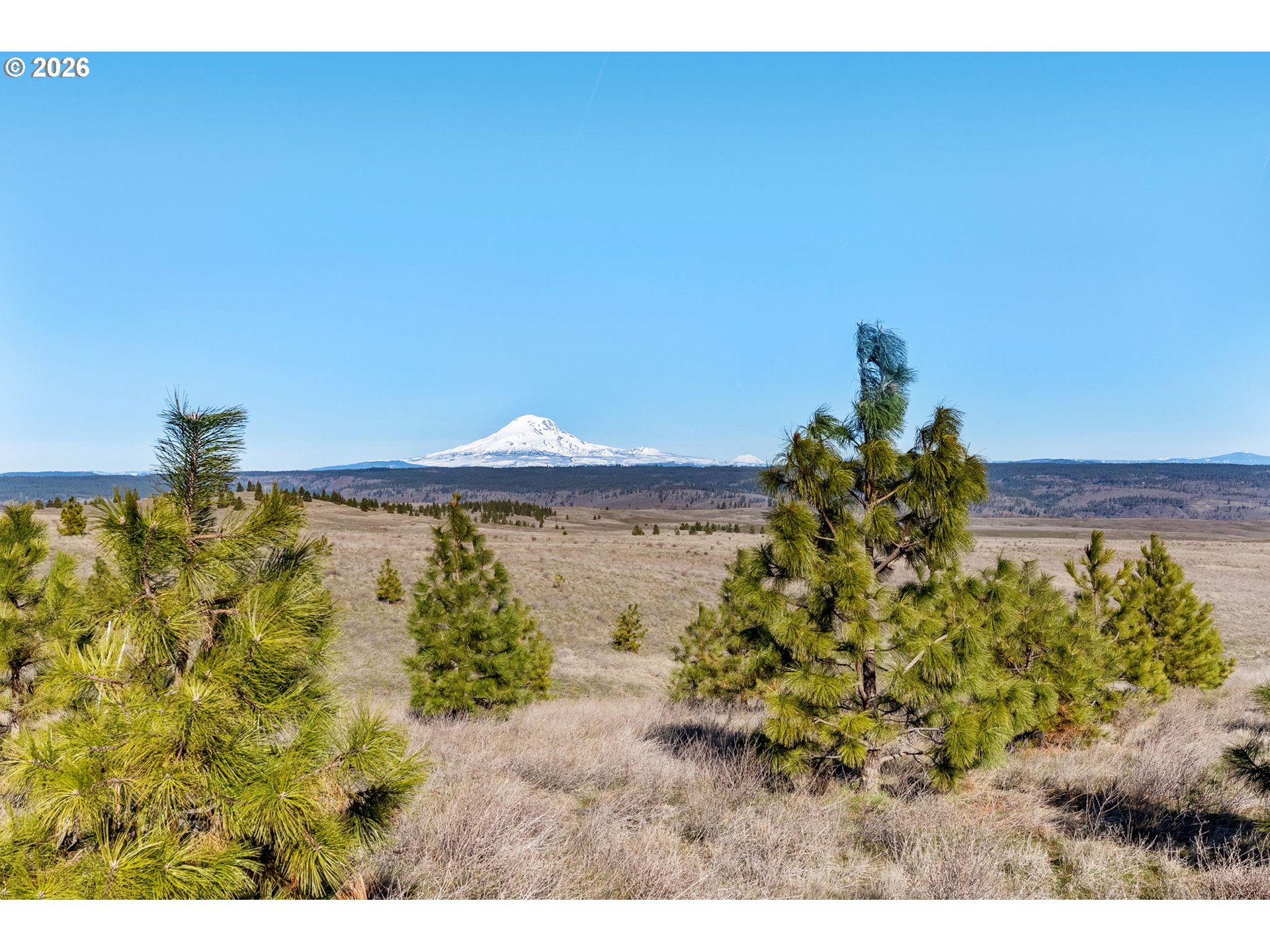 412 Schilling Road Lyle, WA 98635 - Photo 43 of 48