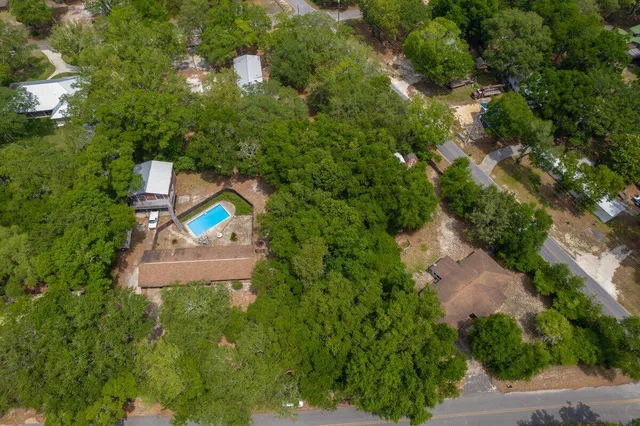 a view of a forest with a tree