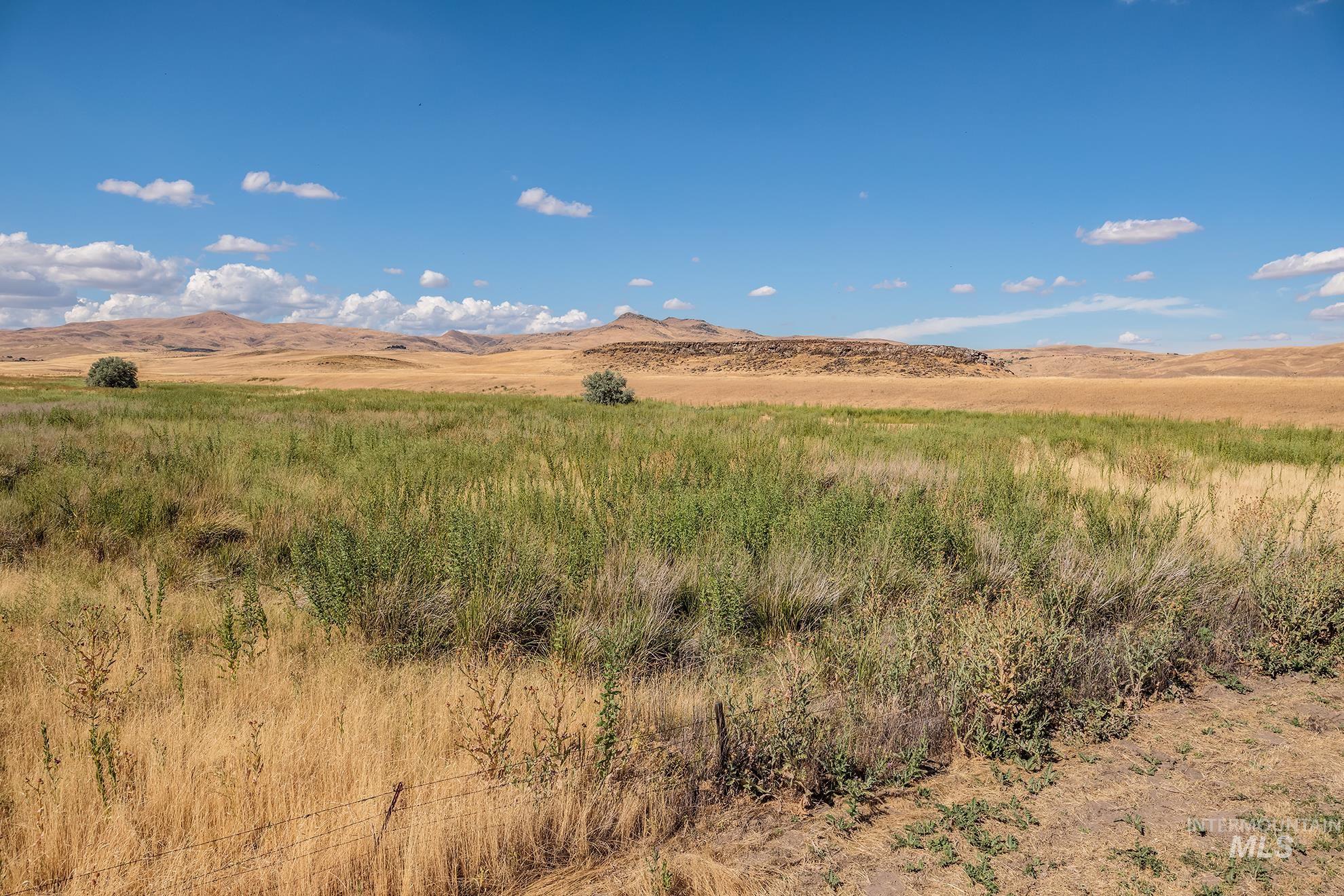 1049 Price Road Weiser, ID 83672 - Photo 47 of 47 Expansive natural landscape featuring varied vegetation and distant hills under a clear blue sky