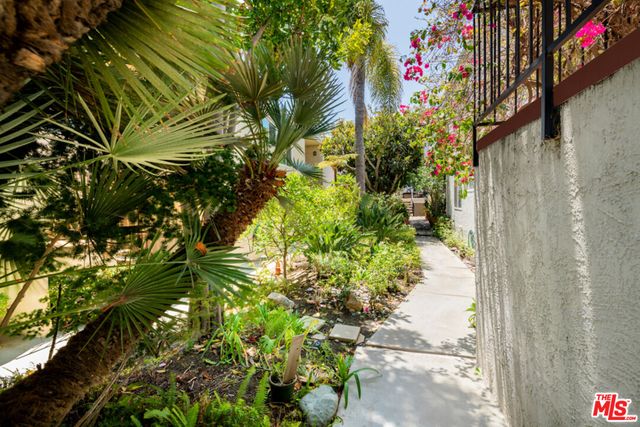 a flower plants in front of a door