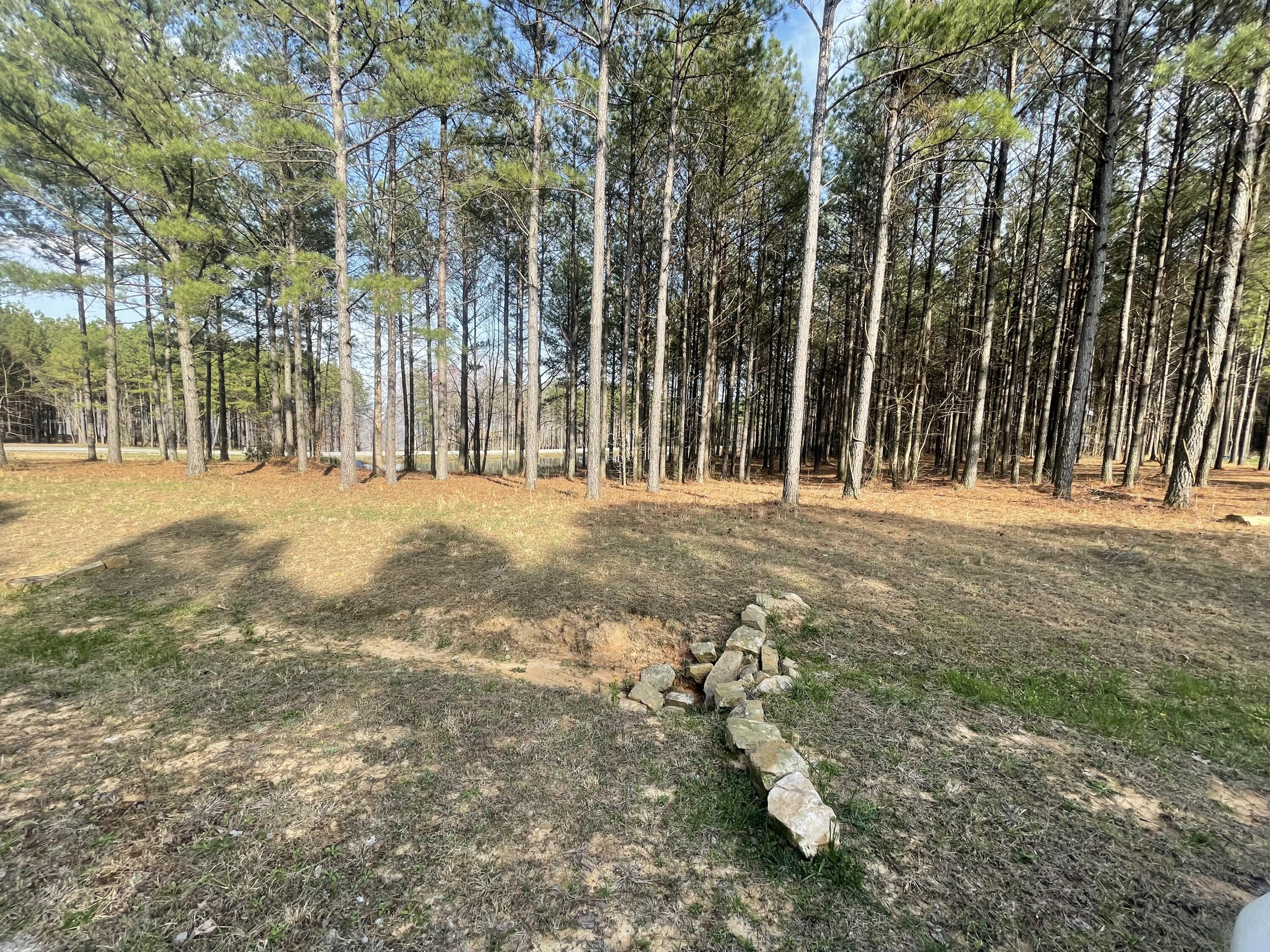 179 High Point Lane Jasper, TN 37347 - Photo 24 of 91 IMG_4768