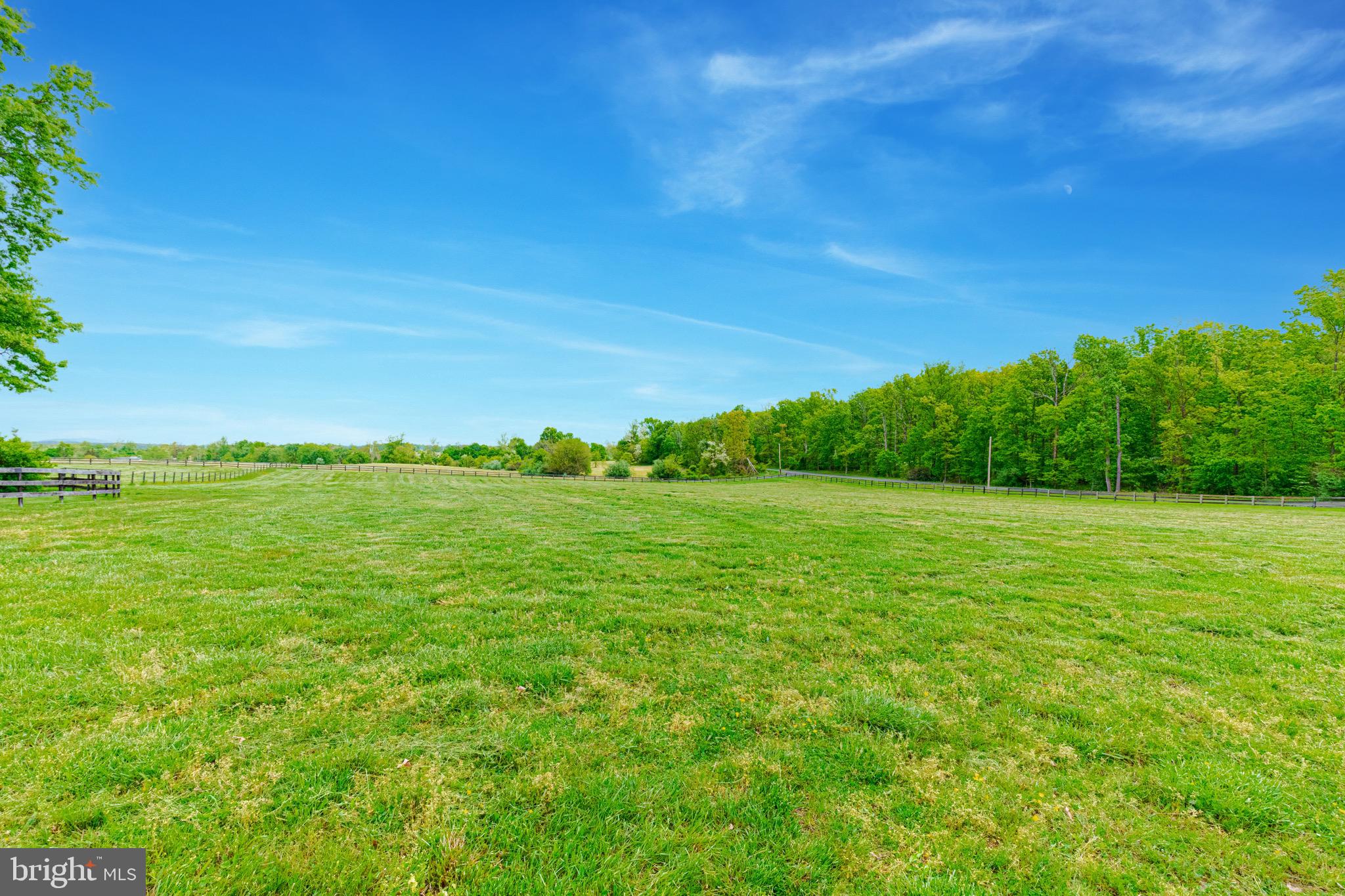 21709 St Louis Road Middleburg, VA 20117 - Photo 45 of 47 Wide open vistas.