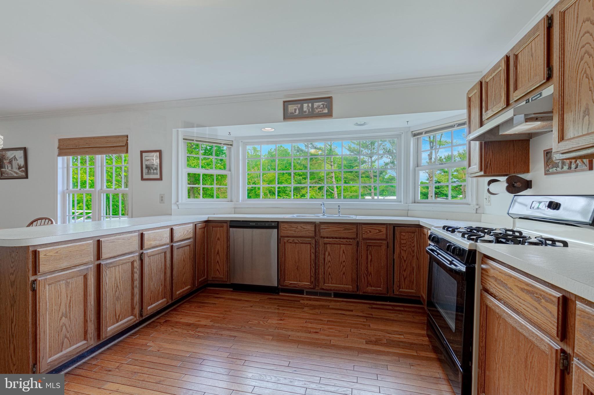 21709 St Louis Road Middleburg, VA 20117 - Photo 10 of 47 Kitchen bathed in natural light.
