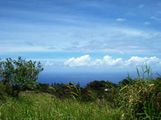 Kaapahu Road Paauilo, HI 96776 - Photo 5 of 21