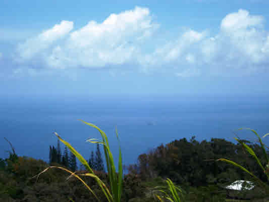 Kaapahu Road Paauilo, HI 96776 - Photo 7 of 21 a view of a city