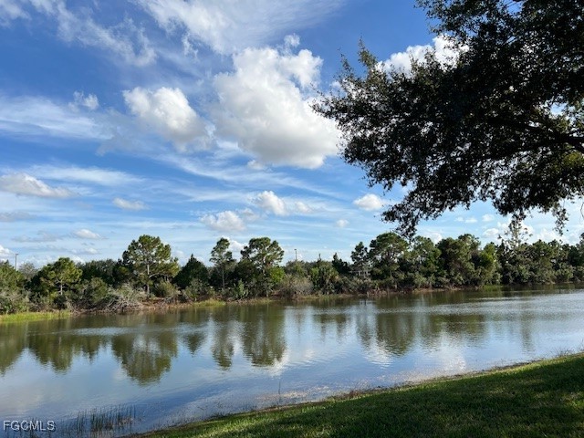10113 Colonial Country Club Boulevard, Unit 2205 Fort Myers, FL 33913 - Photo 28 of 49