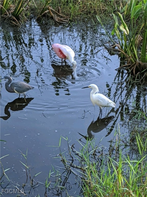 10113 Colonial Country Club Boulevard, Unit 2205 Fort Myers, FL 33913 - Photo 44 of 49