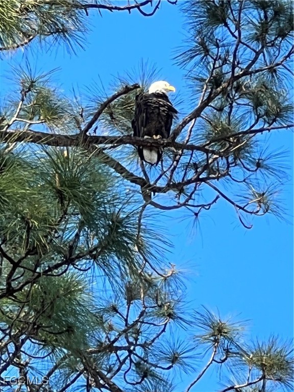 10113 Colonial Country Club Boulevard, Unit 2205 Fort Myers, FL 33913 - Photo 45 of 49