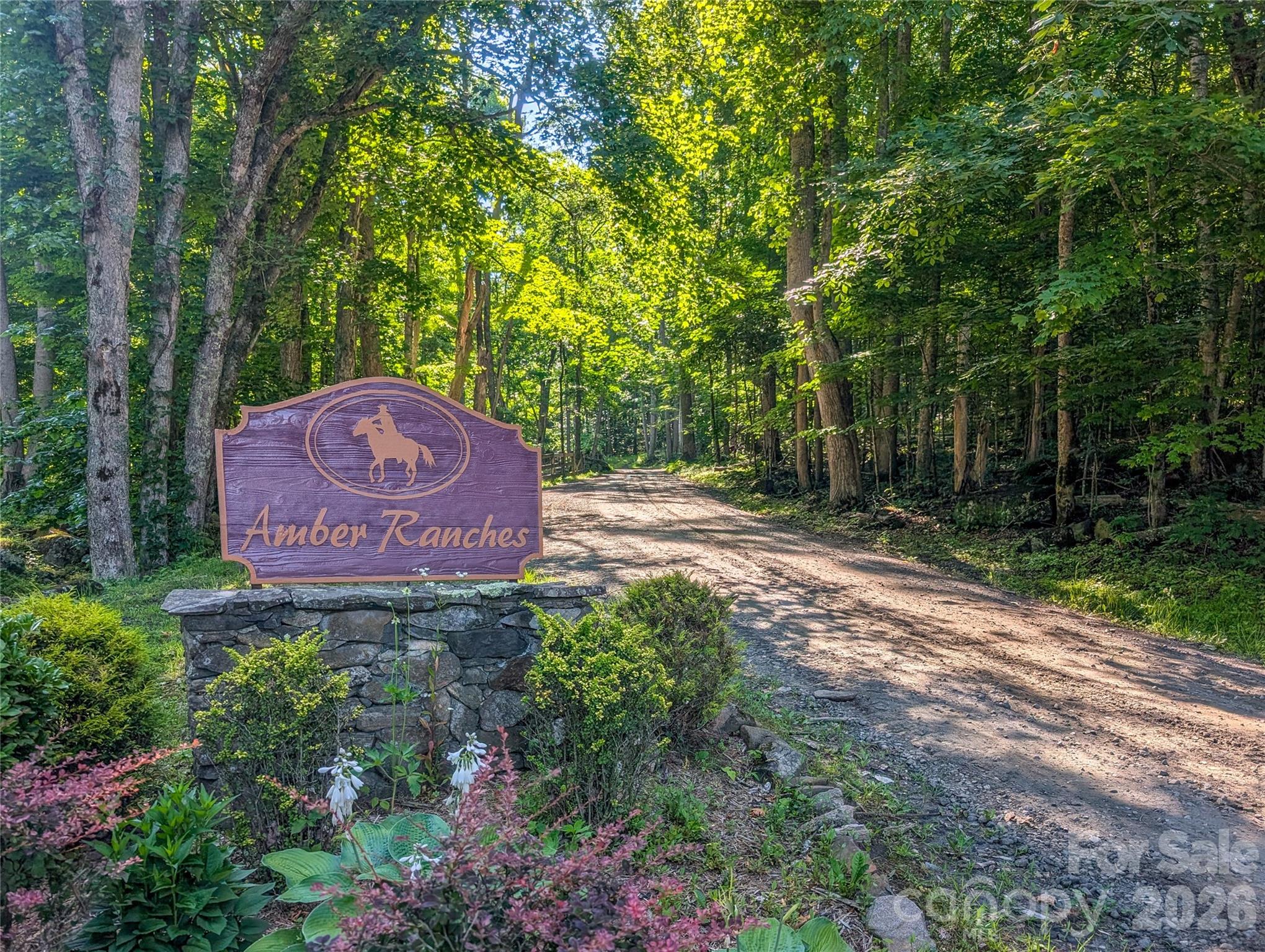 0 Amber Ranches, Unit 47 Bakersville, NC 28705 - Photo 18 of 18