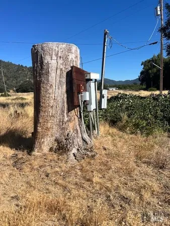 a view of backyard with trees