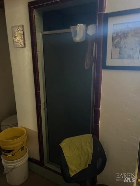 11727 Elk Mountain Road Upper Lake, CA 95485 - Photo 33 of 60 a bathroom with a toilet and a shower